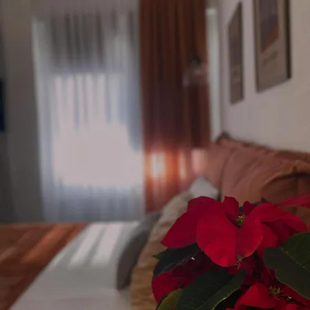 Apartment Opalinep10 *