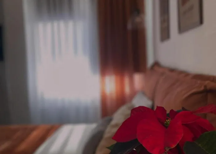 Appartement Opalinep10 *